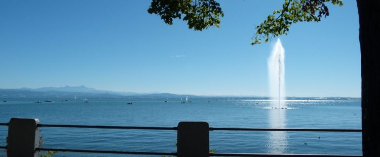 Immobilienverwaltung Friedrichshafen